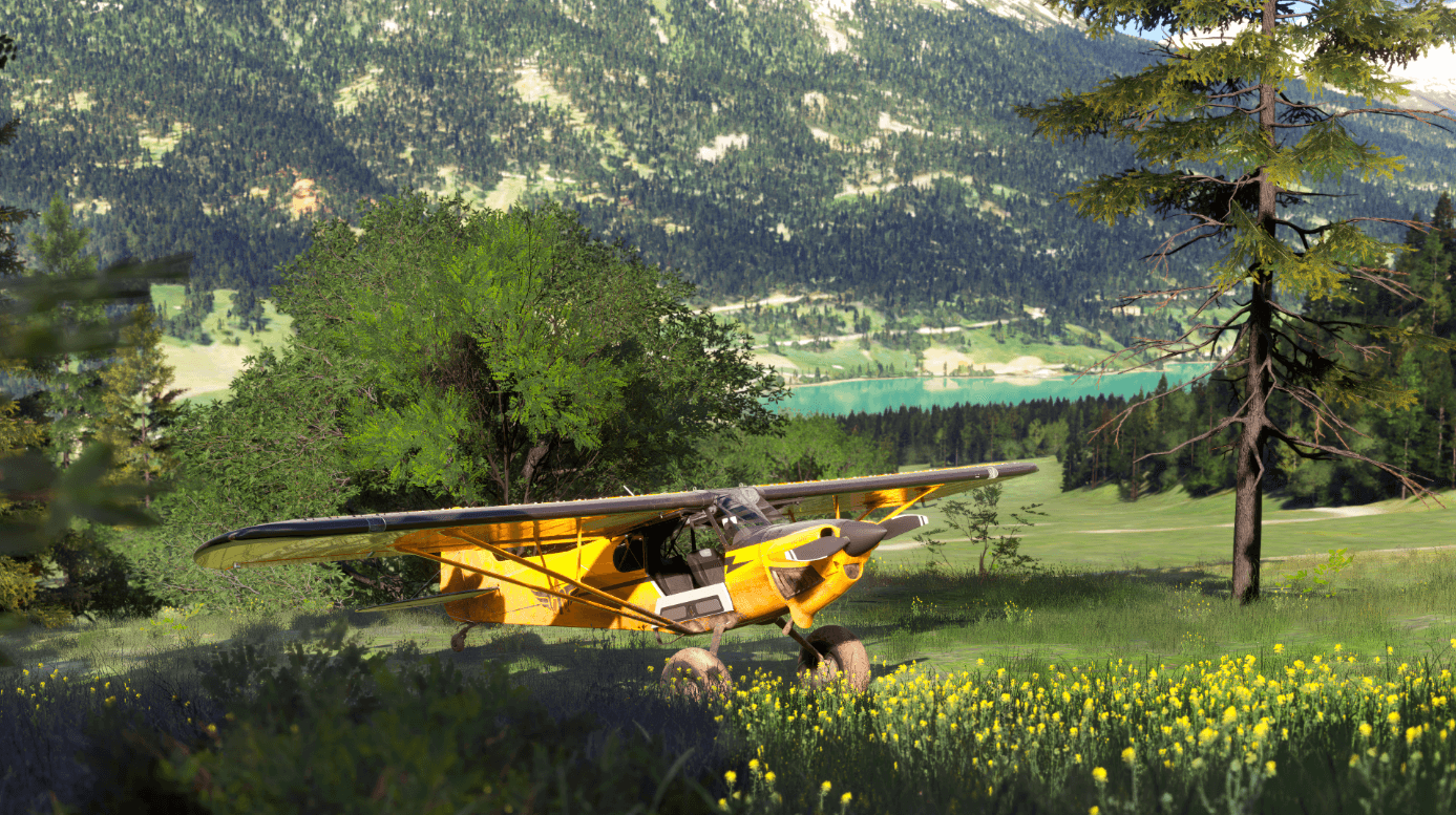 Microsoft Flight Simulator 2024 detailed screenshot 4