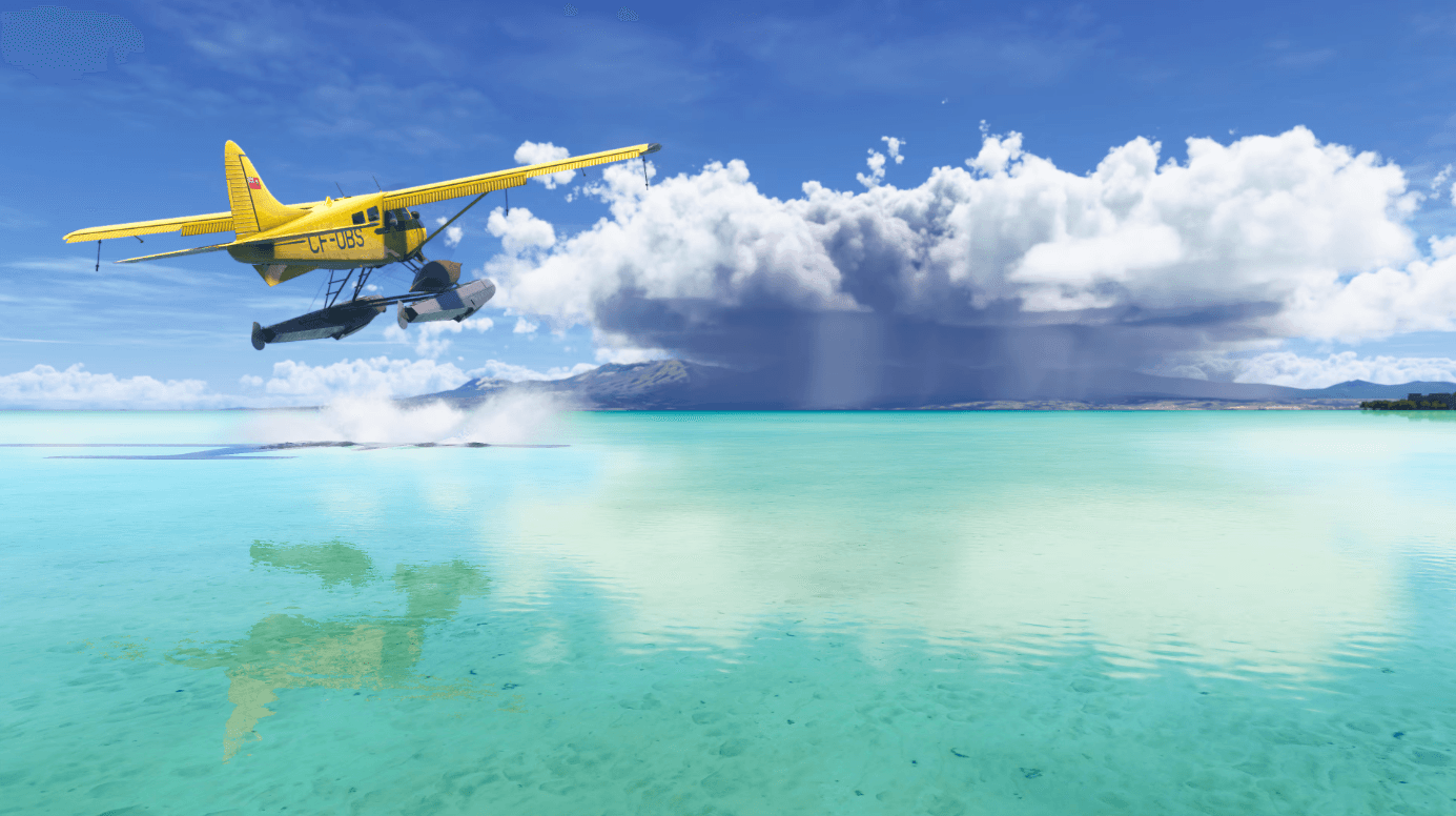 Microsoft Flight Simulator 2024 detailed screenshot 6