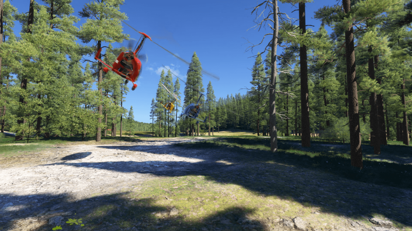 Microsoft Flight Simulator 2024 detailed screenshot 8